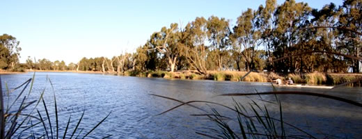Wimmera River
